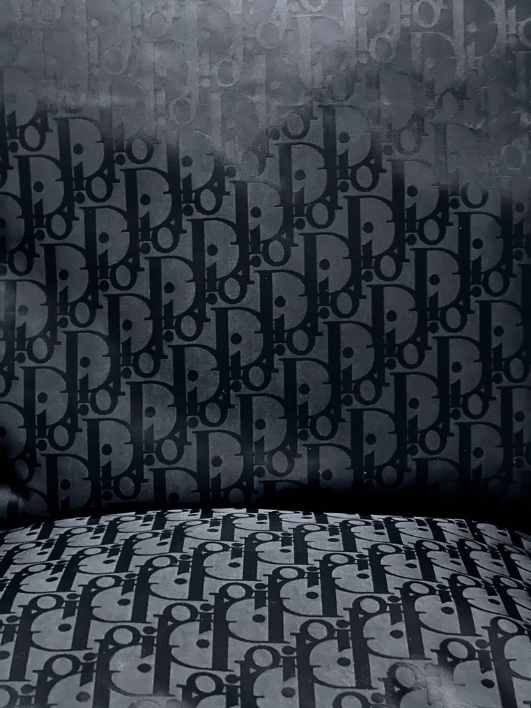 Dior - New set of two - Cushion #1.0