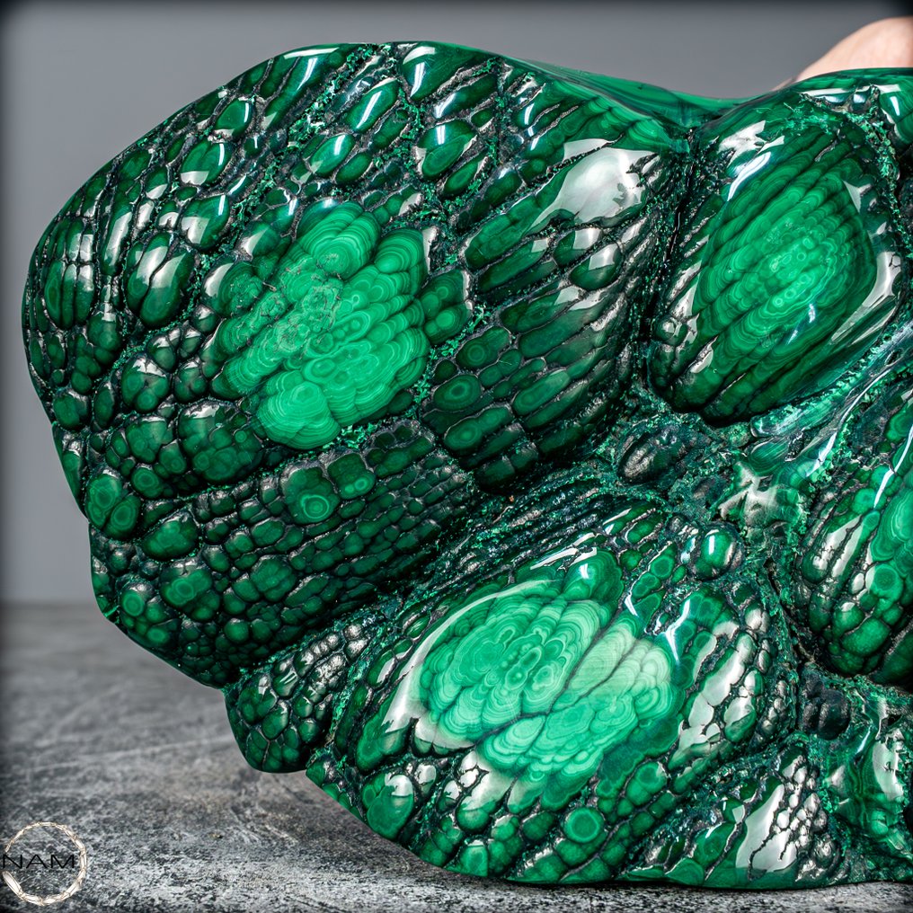 自然的非常稀有的抛光龙皮 最高品质的孔雀石- 1810.77 g #2.1