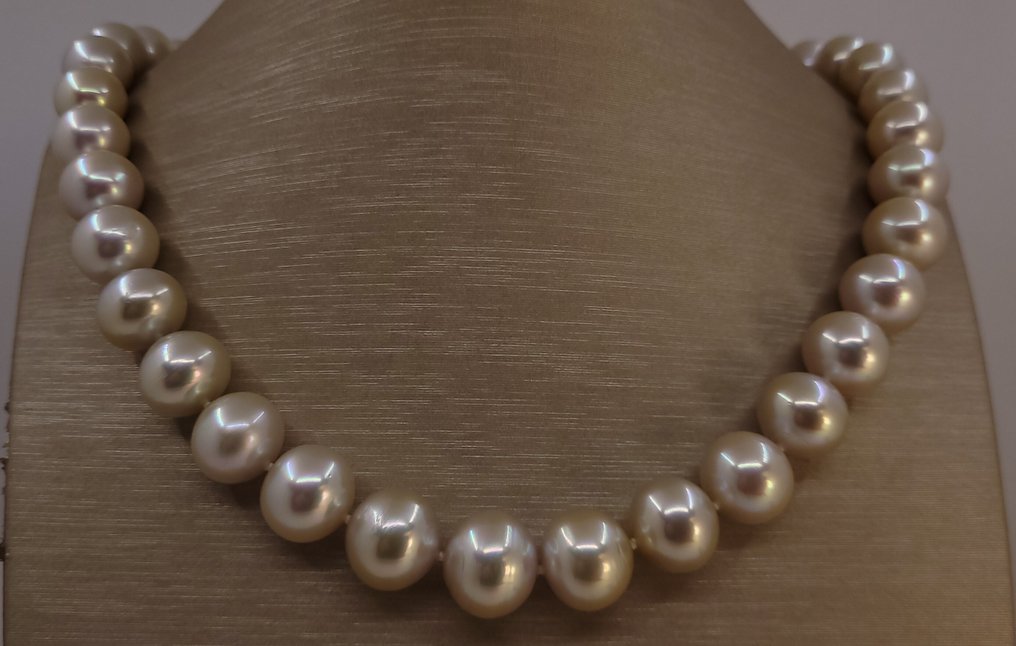 项链 银, ALGT 认证11.0x14.2毫米金色南海珍珠 #4.3