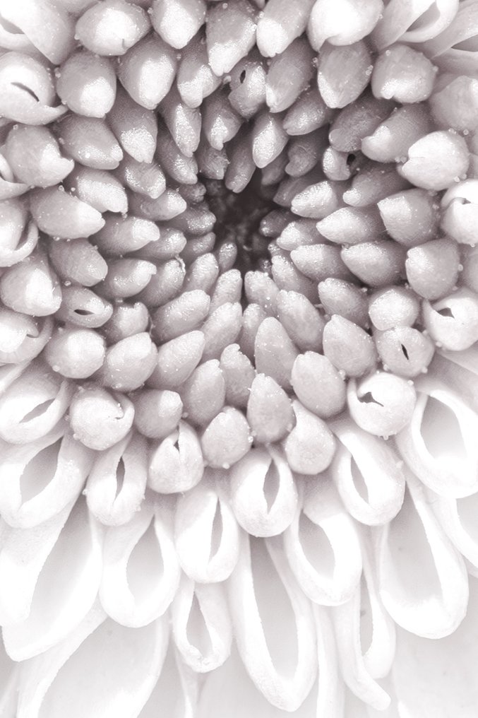 Inna Etuvgi - Fading into Silence #1.0