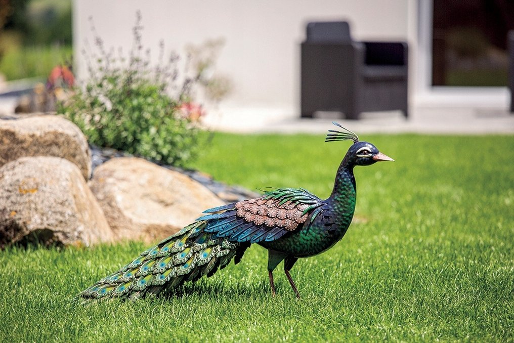 Peacock - 94cm - 雕像 - Peacock - 钢 #1.0