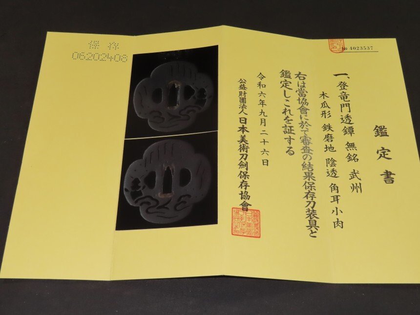 Katana - kovácsolt vas - Touryumon Sukashi Tsuba w/NBTHK Hozon Judgement paper : Busyu : C4-883 - Japán - Edo Period (1600-1868) #1.0