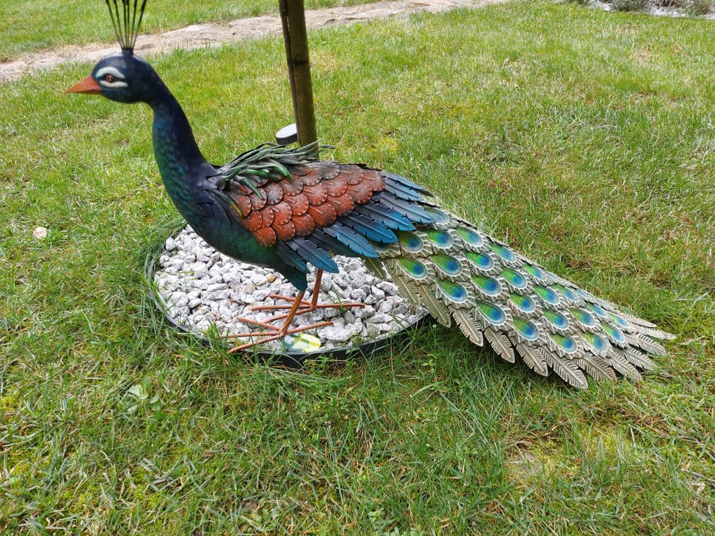 Peacock - 94cm - 雕像 - Peacock - 钢 #4.3