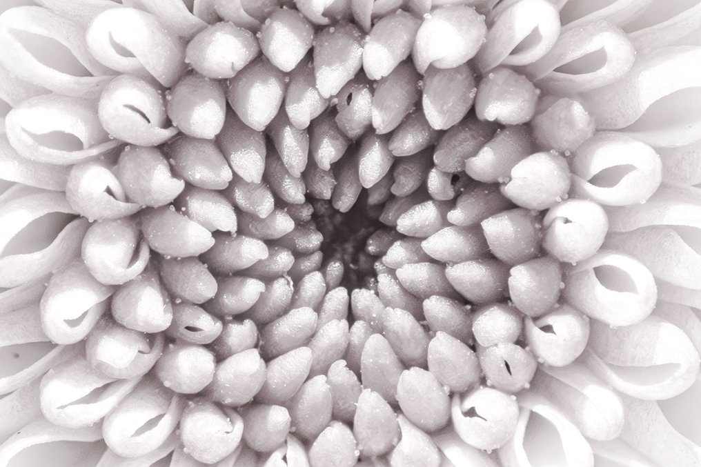 Inna Etuvgi - Fading into Silence #3.2