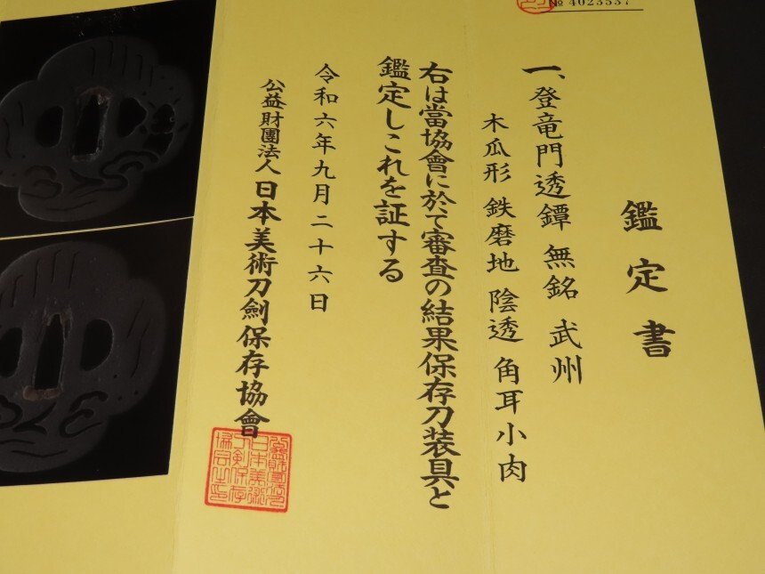Katana - kovácsolt vas - Touryumon Sukashi Tsuba w/NBTHK Hozon Judgement paper : Busyu : C4-883 - Japán - Edo Period (1600-1868) #2.1
