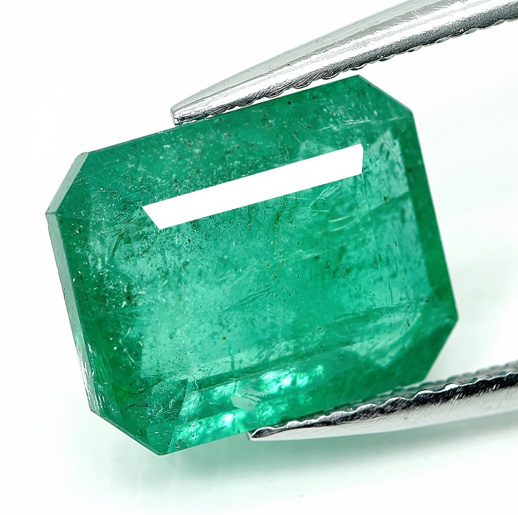 1 pcs  Grøn Smaragd  - 4.50 ct - Bellerophon Gemlab #2.1