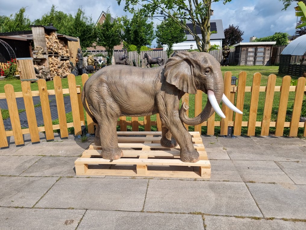 Statue, XL Elephant - 145cm - 93.5 cm - Resin - 2025 #3.2