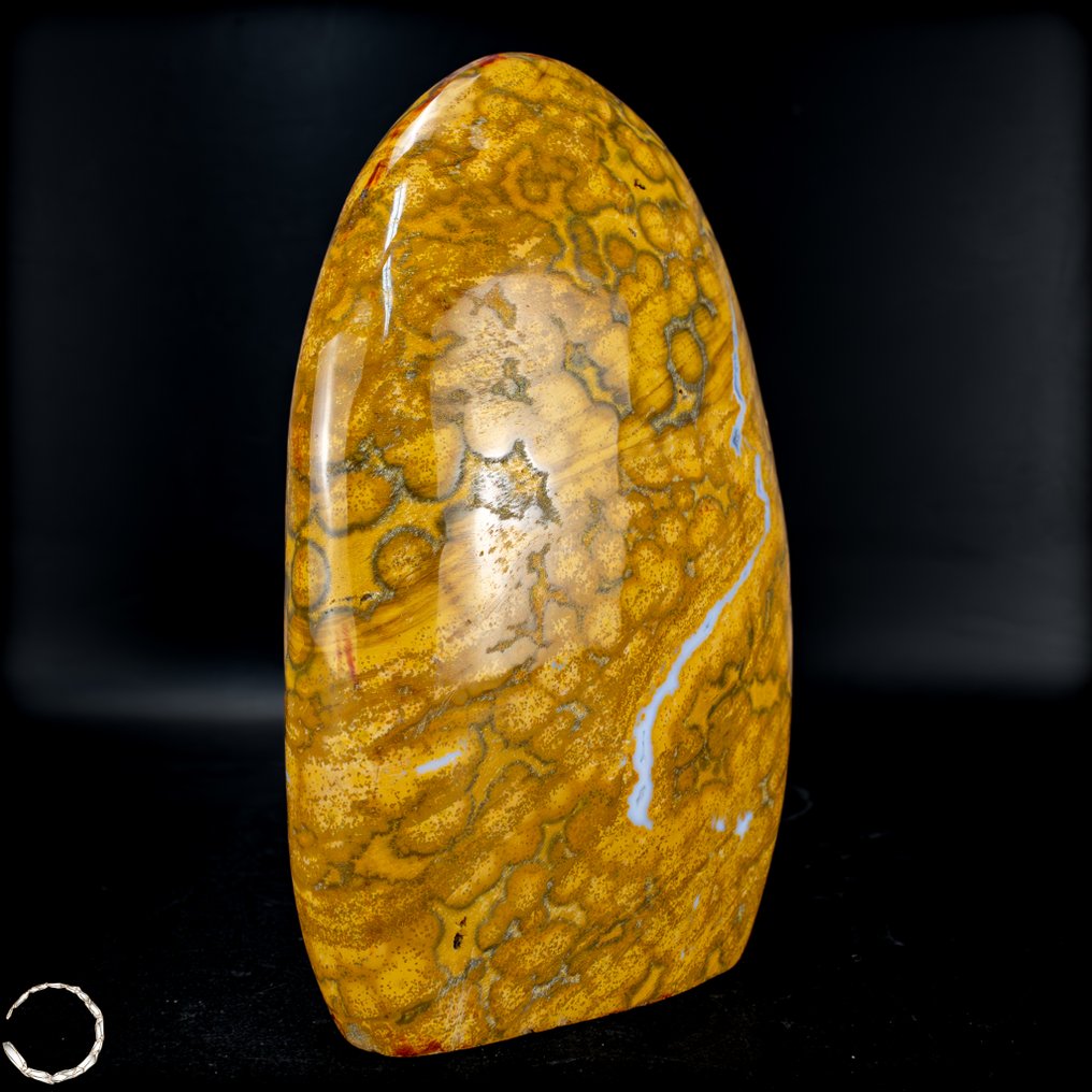 Πολύ σπάνιος κρύσταλλος Augenjasper με 4 καλώδια, ελεύθερο σχήμα. από τη Μαδαγασκάρη- 551.55 g #4.3