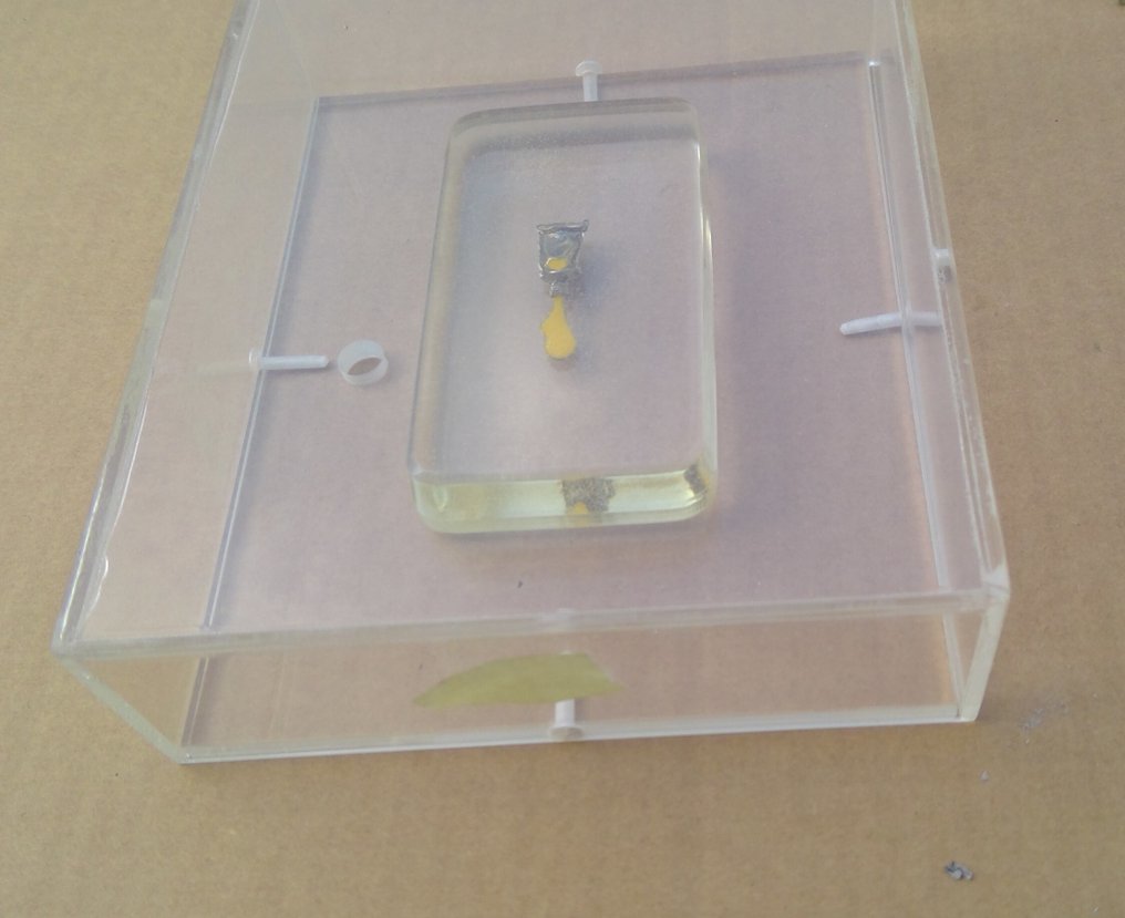 Fernandez Arman (1928-2005) - Senza titolo #1.0