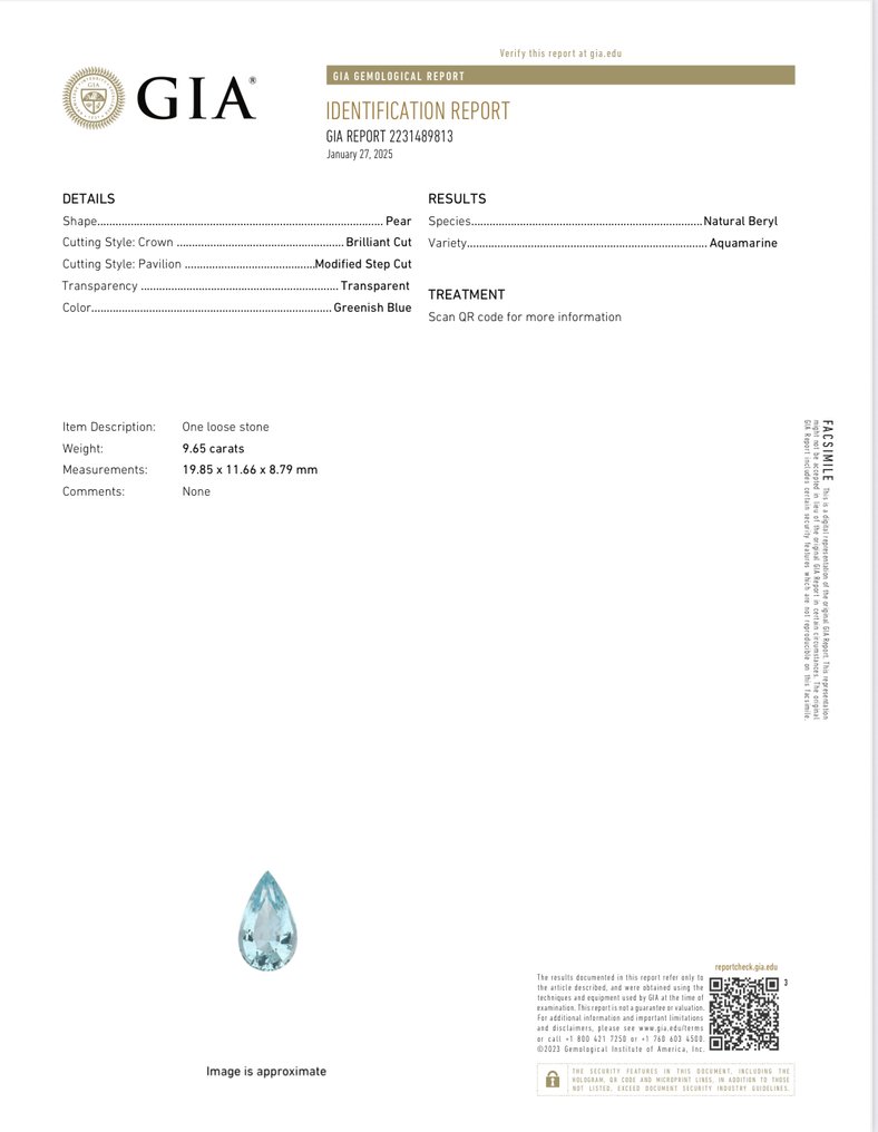 1 pcs  绿色, 蓝色 海蓝宝石  - 9.65 ct - 美国宝石研究院（GIA） #4.3