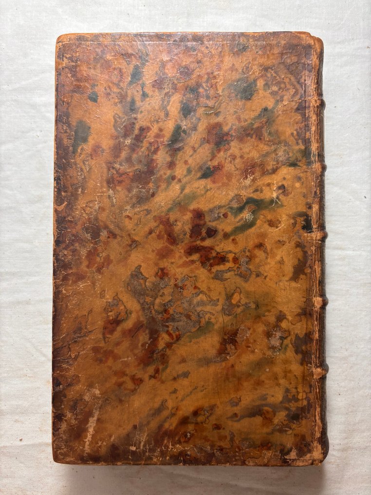 J. A. van Thye - Tractatus Juris Publici Foederati Belgii De Inauguratione Principum Belgicorum - 1767 #3.2