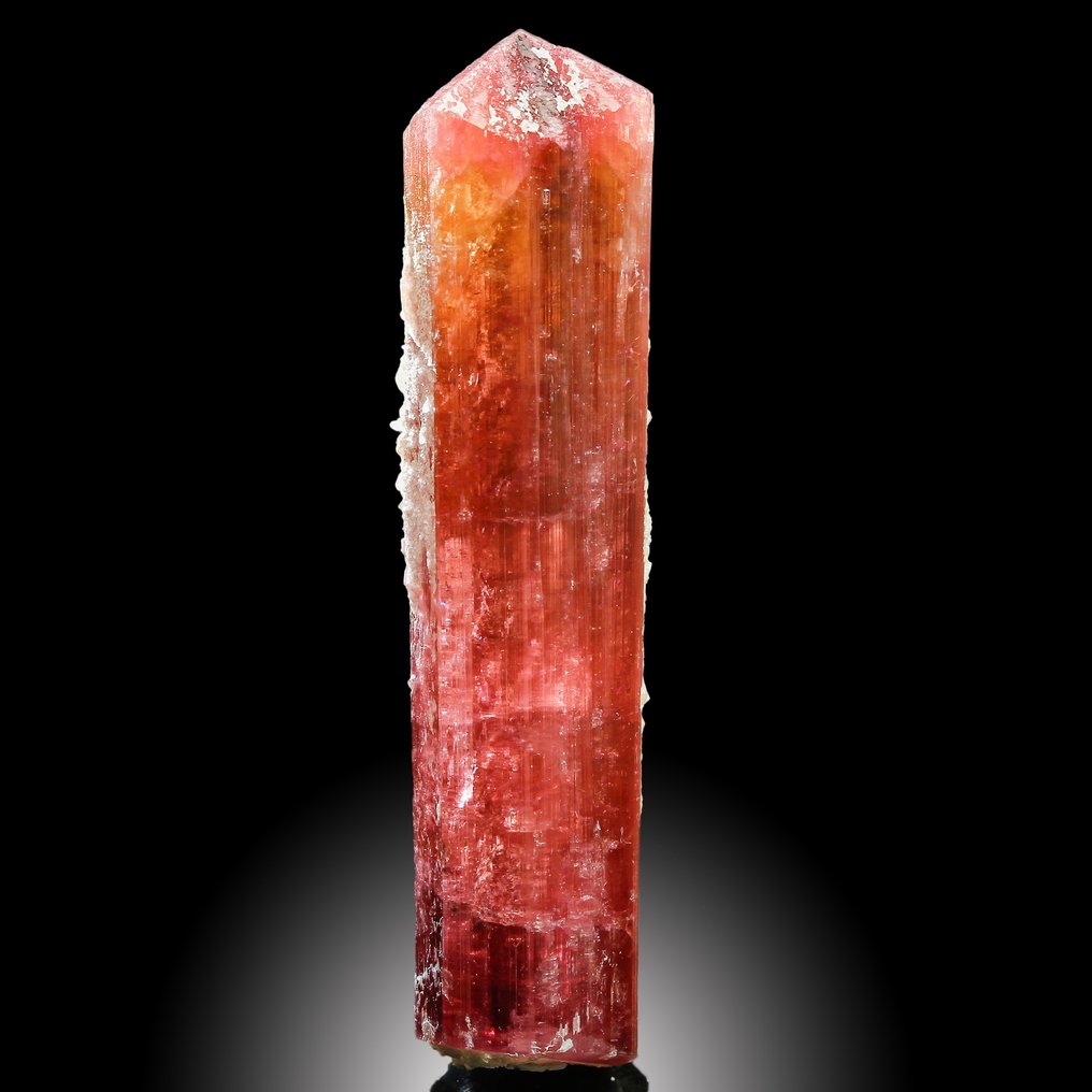 XXL KING Rubellite Tourmaline | Deep Ruby Red | Powerful & Energetic Collector’s Treasure Crystal - Height: 7.7 cm - Width: 2 cm- 48 g #1.0