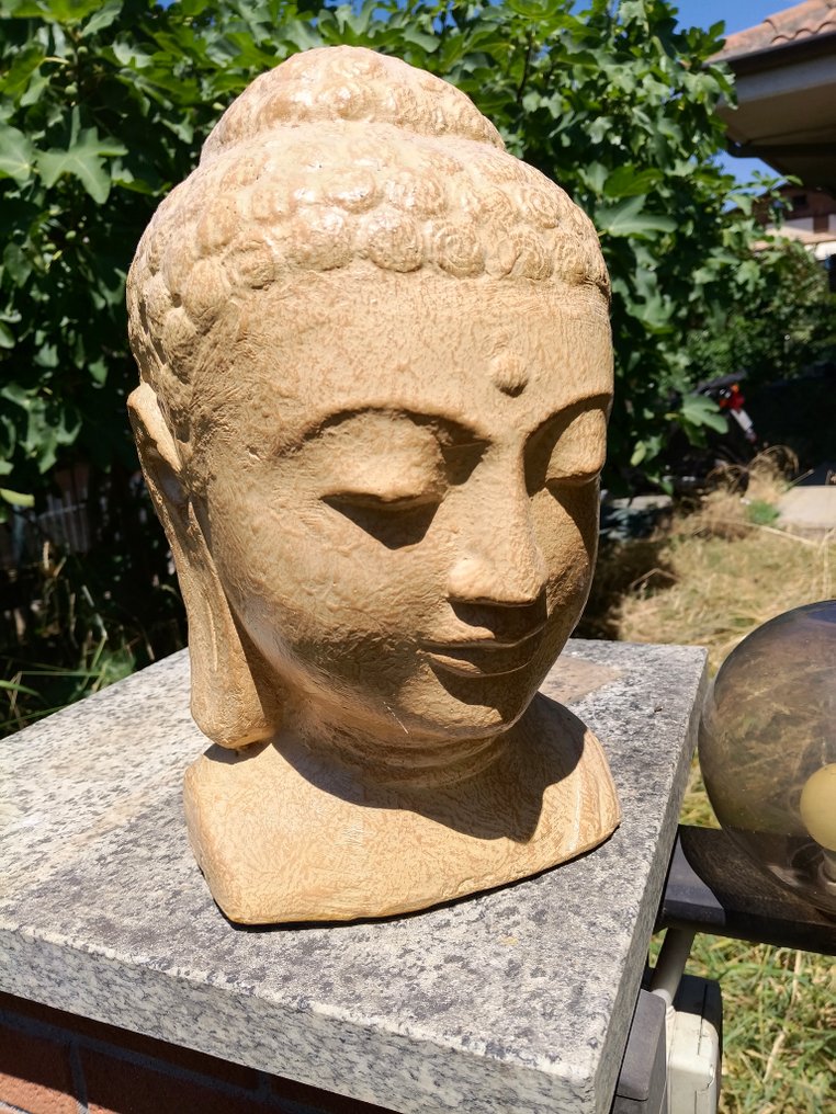 户外雕塑, Testa di Buddha sereno - 40 cm - 聚酯纤维树脂 #1.0