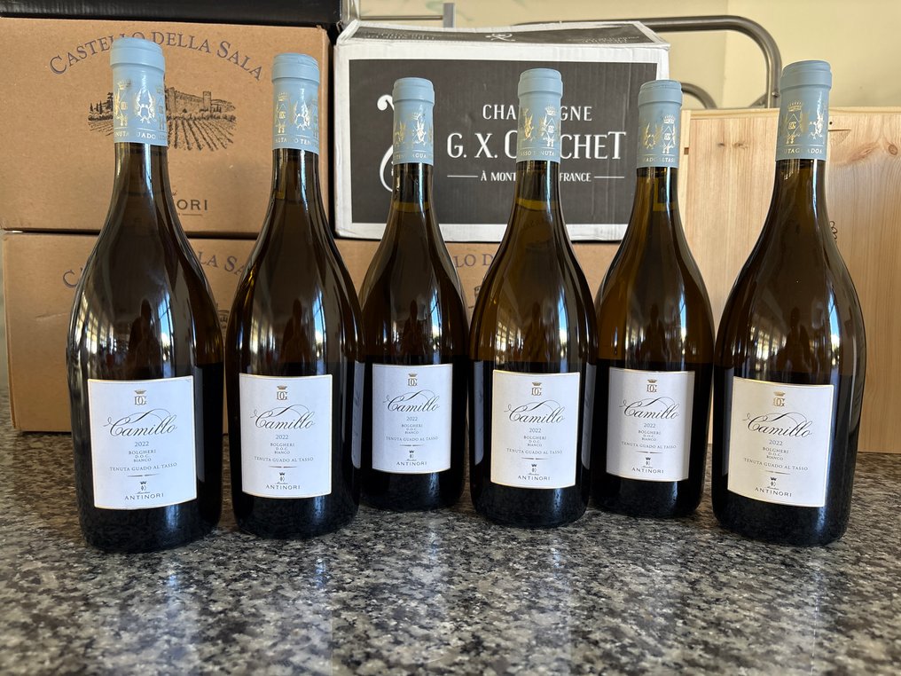 2022 Guado al Tasso Camillo - Bolgheri DOC - 6 Bottles (0.75L) #1.0