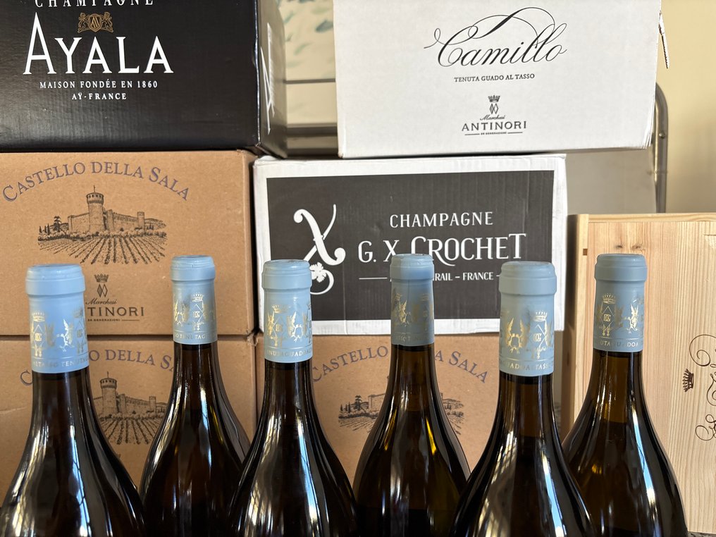 2022 Guado al Tasso Camillo - Bolgheri DOC - 6 Bottles (0.75L) #2.1