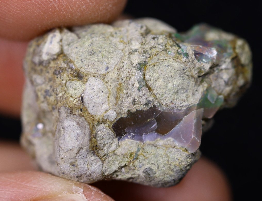 29,2 ct - RAR - Wunderschöner natürlicher, unbehandelter schwarzer Opal. Rohversion - Sieh dir das Video an!- 5.84 g #4.3