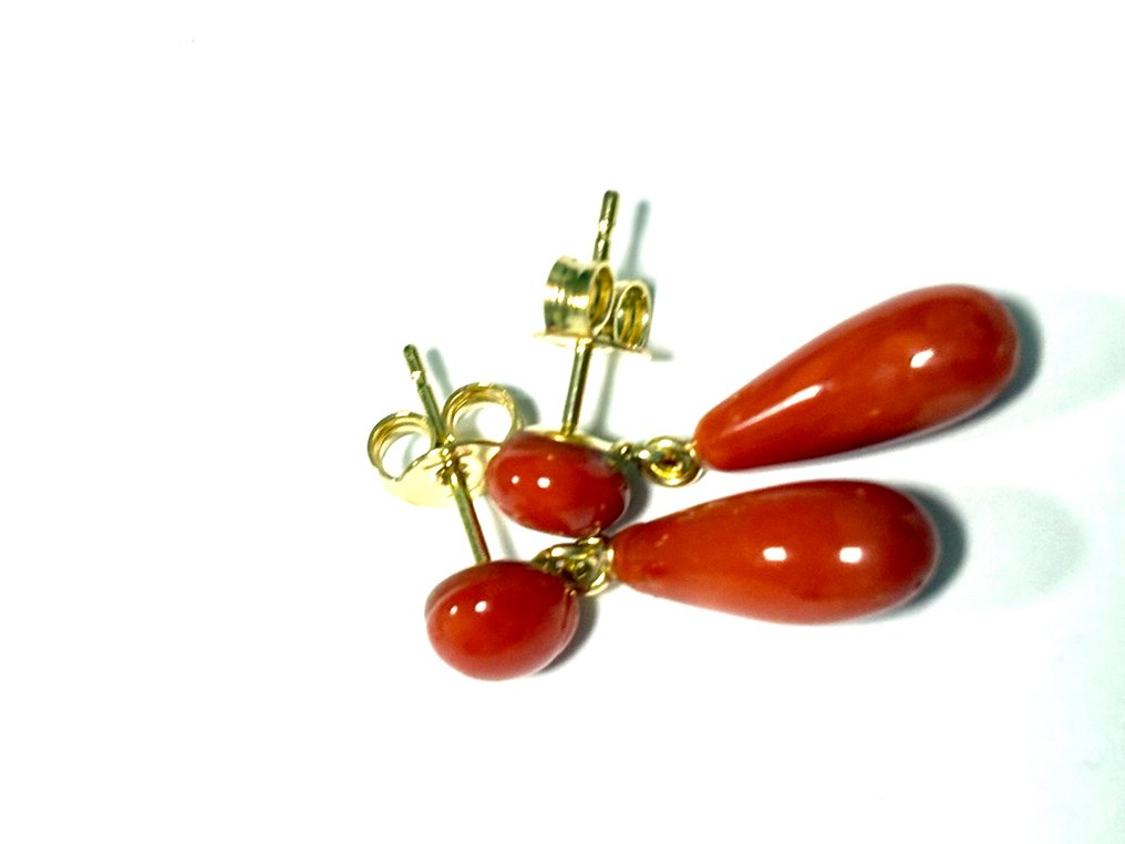 Κοράλλι Κοράλλι - Coral rubrum #2.1