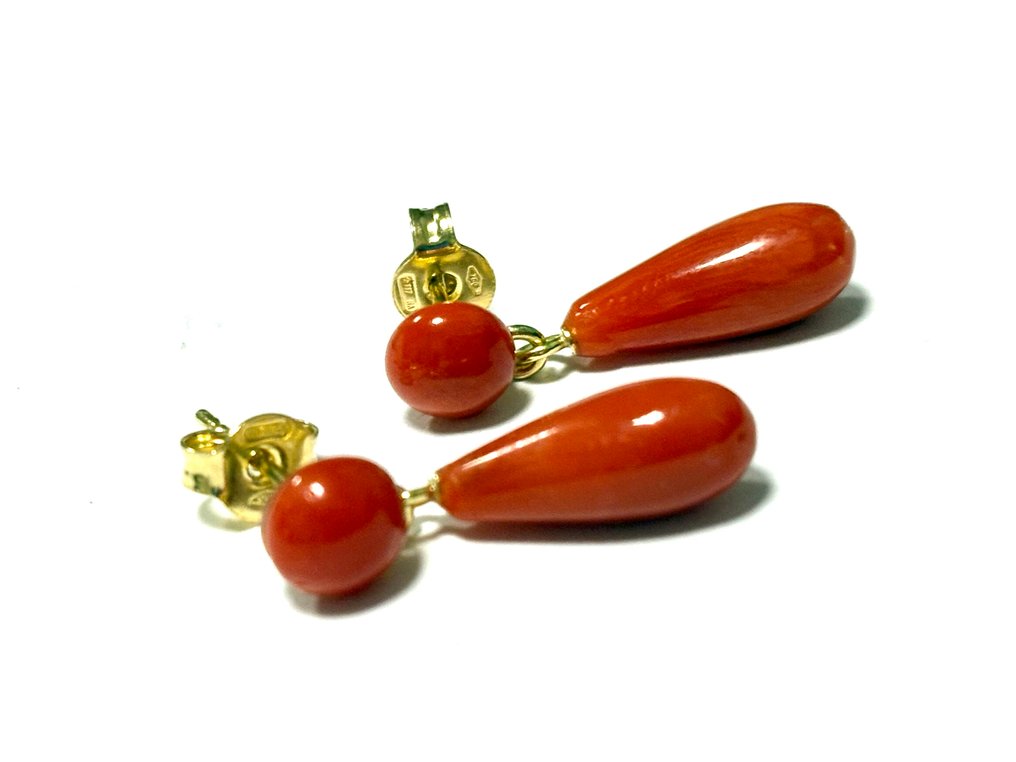 Κοράλλι Κοράλλι - Coral rubrum #1.0