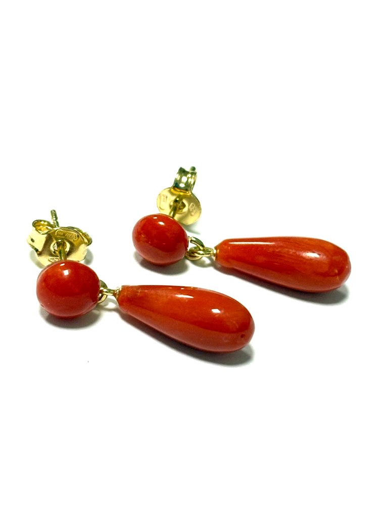 Κοράλλι Κοράλλι - Coral rubrum #1.0