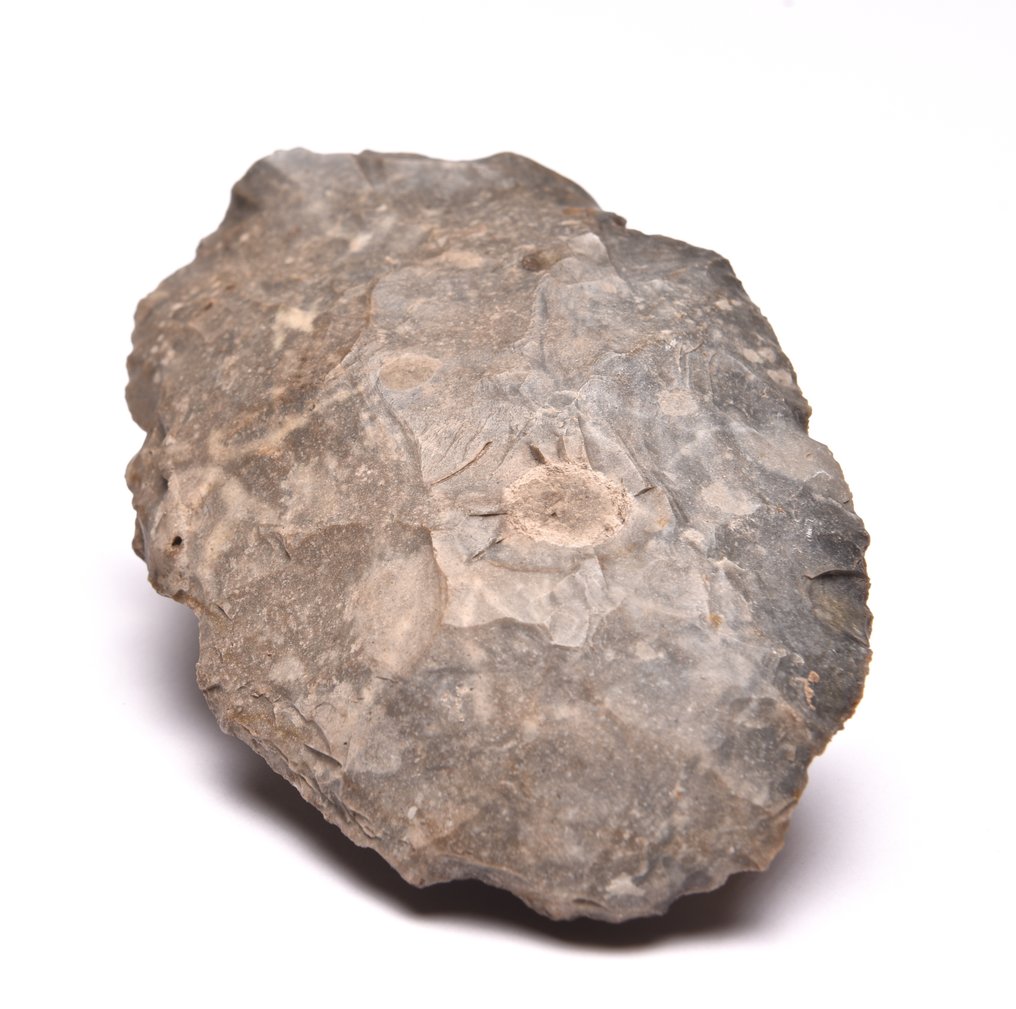 谋斯特里安 燧石 中旧石器时代单面工具 #2.1