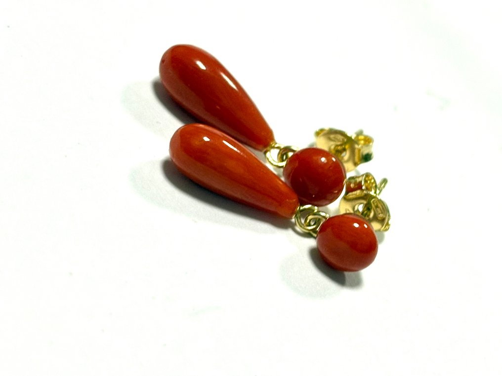 Κοράλλι Κοράλλι - Coral rubrum #3.2