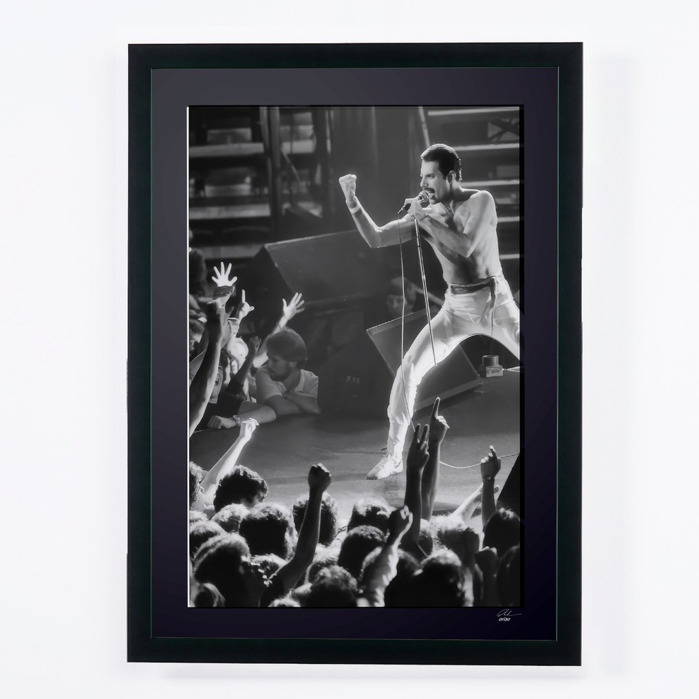 Freddie Mercury 1982 - Fine Art Photography - Luxury Wooden Frame 70X50 cm - Limited Edition 01 of 20 - Serial MU263 - Original Certificate (COA), Hologram - 100% New. Shipping Reduction from 3 items #1.0