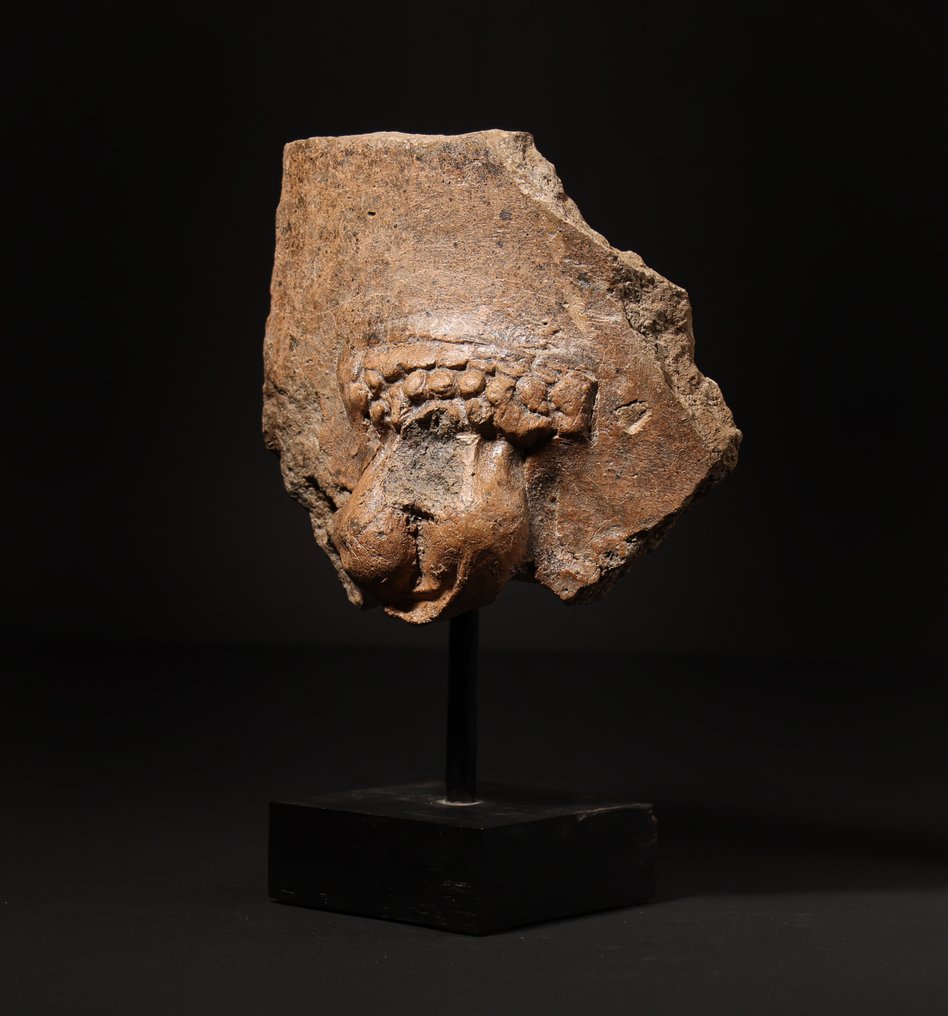 Etrusk fragment męskiego obszaru genitalnego - 16.5 cm #3.2