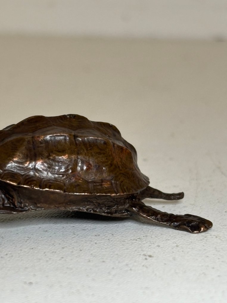 雕像, Schildpad - 15 mm - 青銅色 #2.1