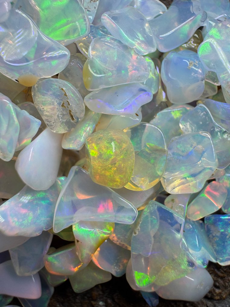 Ομάδα φυσικών ακατέργαστων οπαλίων από την Αιθιοπία, γυαλισμένα. 100 καράτια. Χωρίς τιμή επιφυλακής. Ακατέργαστοι, μη επεξεργασμένοι, λειαμένοι- 20 g #4.3