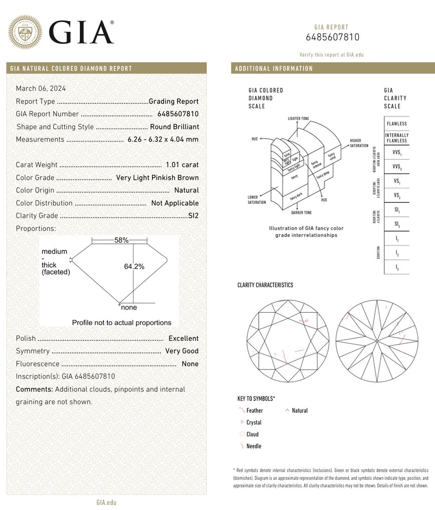 1 pcs Diamond  (Natural coloured)  - 1.01 ct - Round - SI2 - Gemological Institute of America (GIA) #1.0