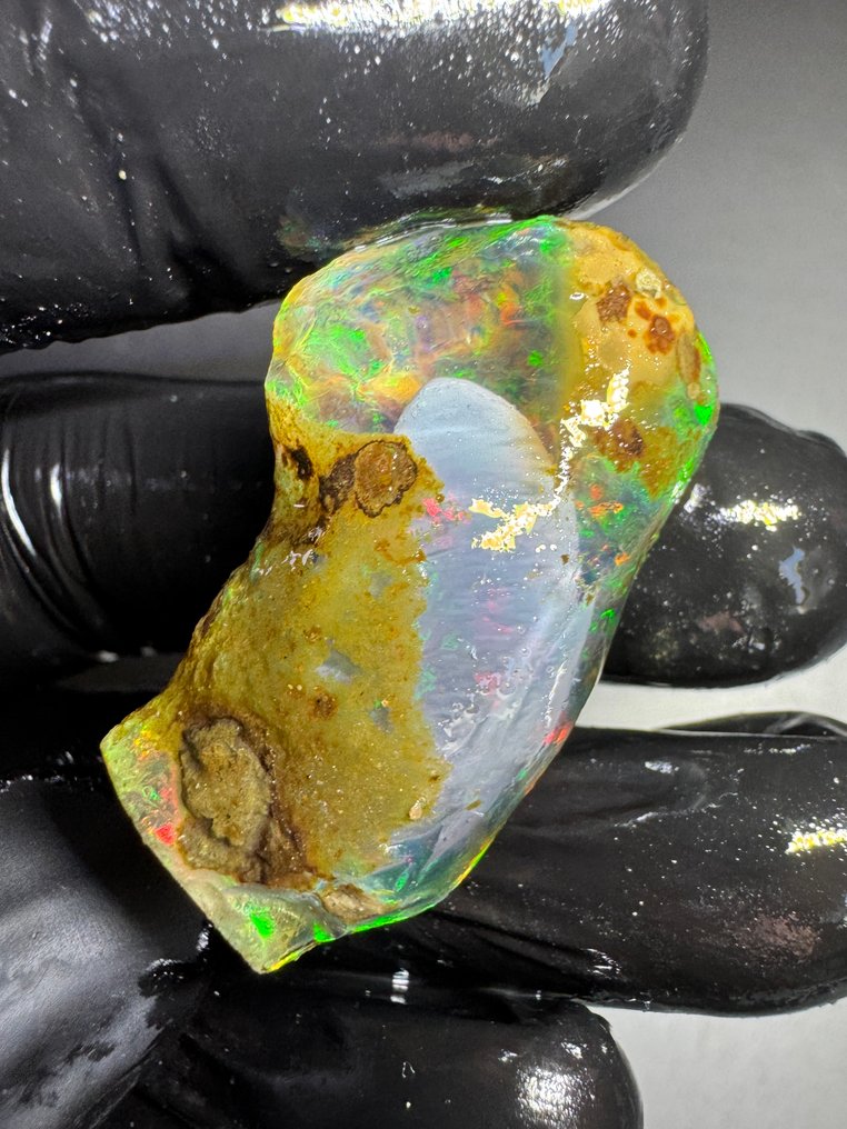 Set of 2 natural Ethiopian opals, raw, oiled. 108.26 carats. No reserve price. Unshaped stones- 21.65 g - (2) #1.0