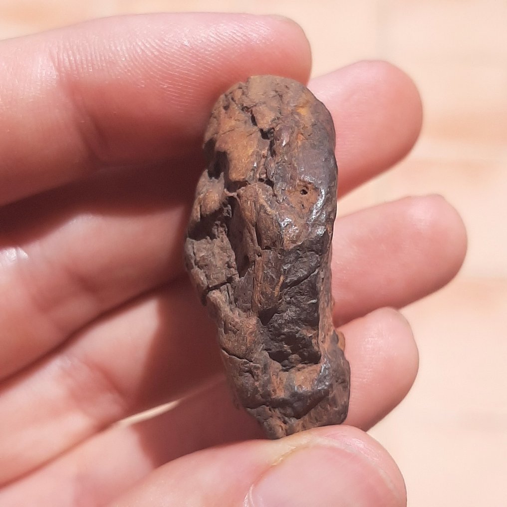 Wolf Creek 陨石。陨石坑制造者。无底价。 - 36.4 g #4.3