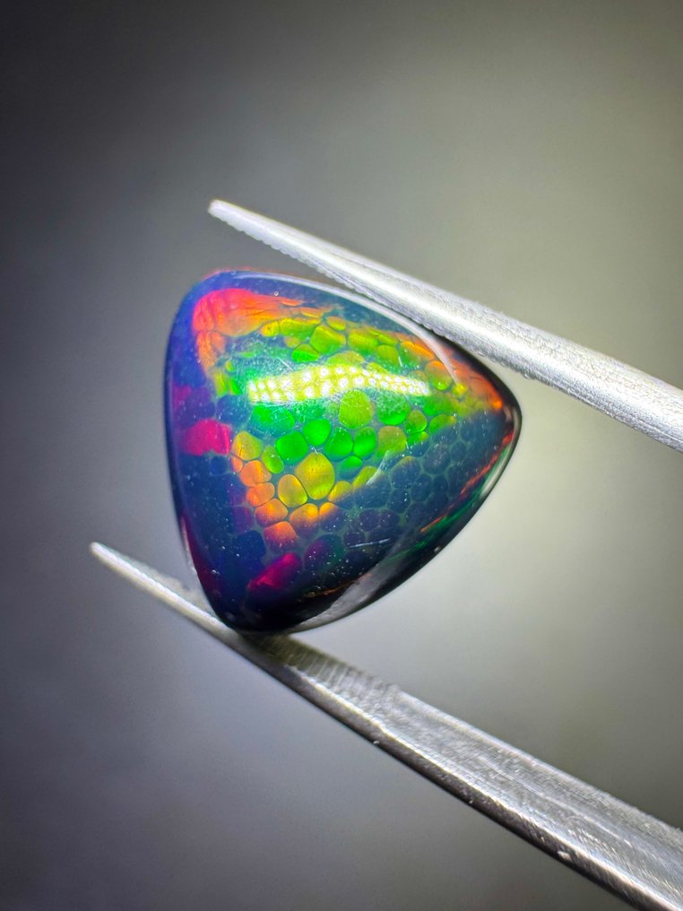 Μαύρη οπάλ από την Αιθιοπία. 5,89 καράτια. Κάμποτσιόν τριών - Ύψος: 13.2 mm - Πλάτος: 13.75 mm- 1.18 g #1.0