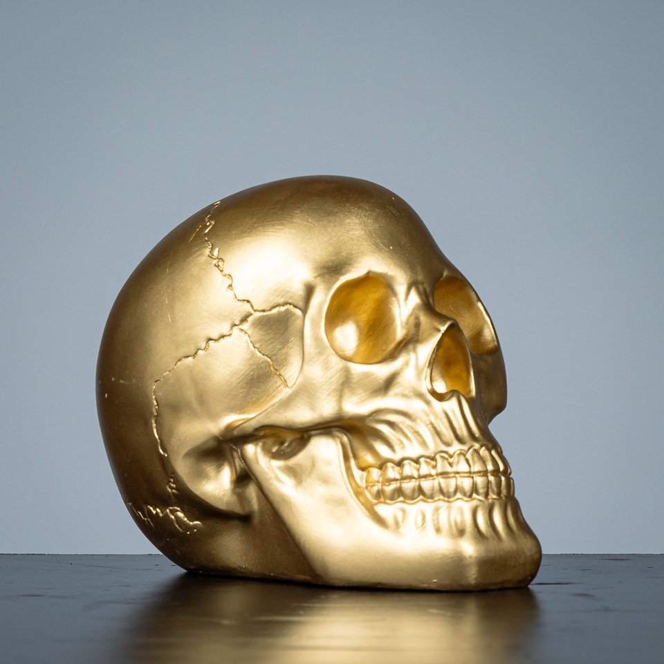 雕塑, Goudkleurige schedel - 180 mm - 树脂 - 2010 #4.3