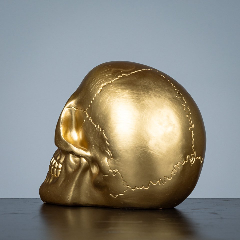 雕塑, Goudkleurige schedel - 180 mm - 树脂 - 2010 #2.1