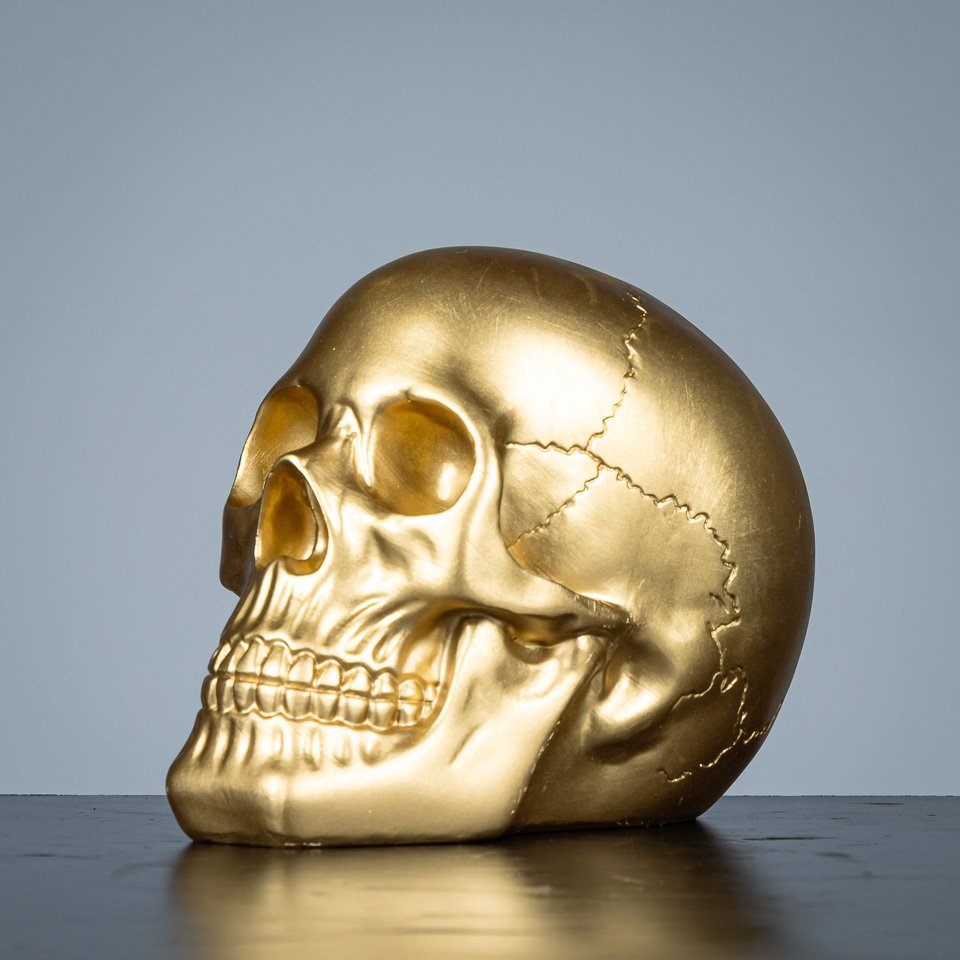 雕塑, Goudkleurige schedel - 180 mm - 树脂 - 2010 #1.0