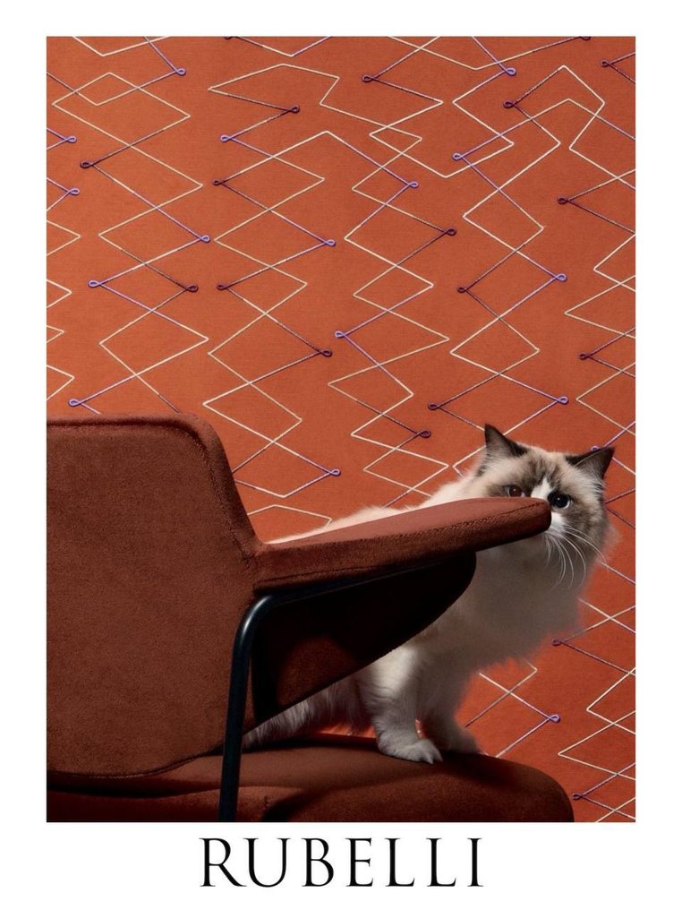 Rubelli - New Collection 2025 -New set  of four - Cushion #2.1