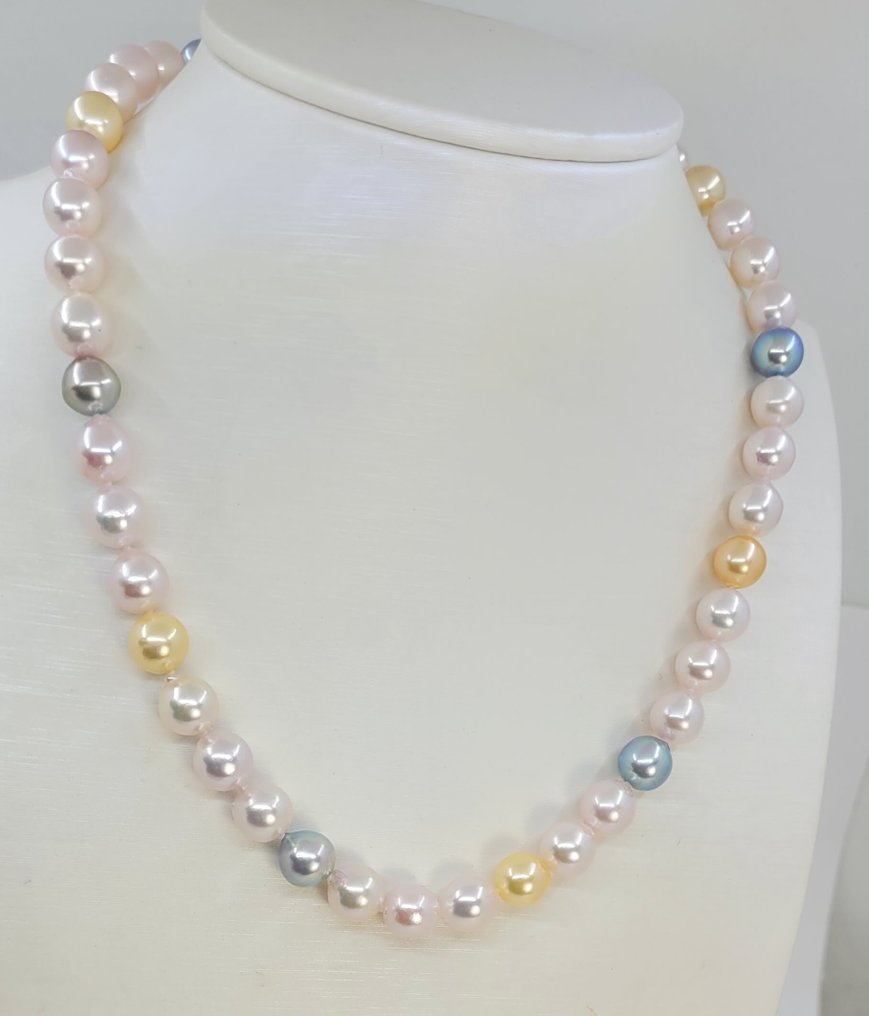 项链 8.5x9毫米多阿科亚珍珠和金色珍珠, 银 #1.0