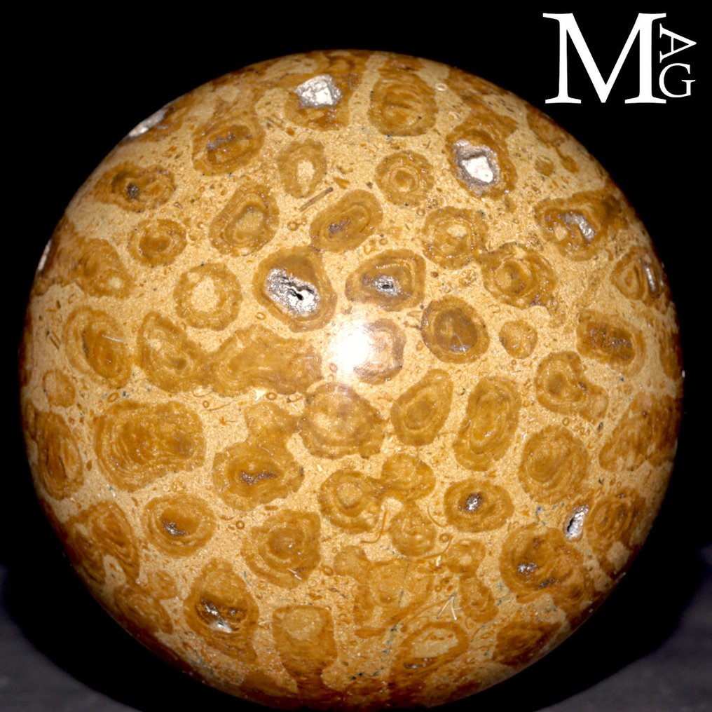 Fossilkoralldusker Fossil kule i Madreporic korall – Madagaskar - Høyde: 96 mm - Bredde: 96 mm- 1218 g #2.1