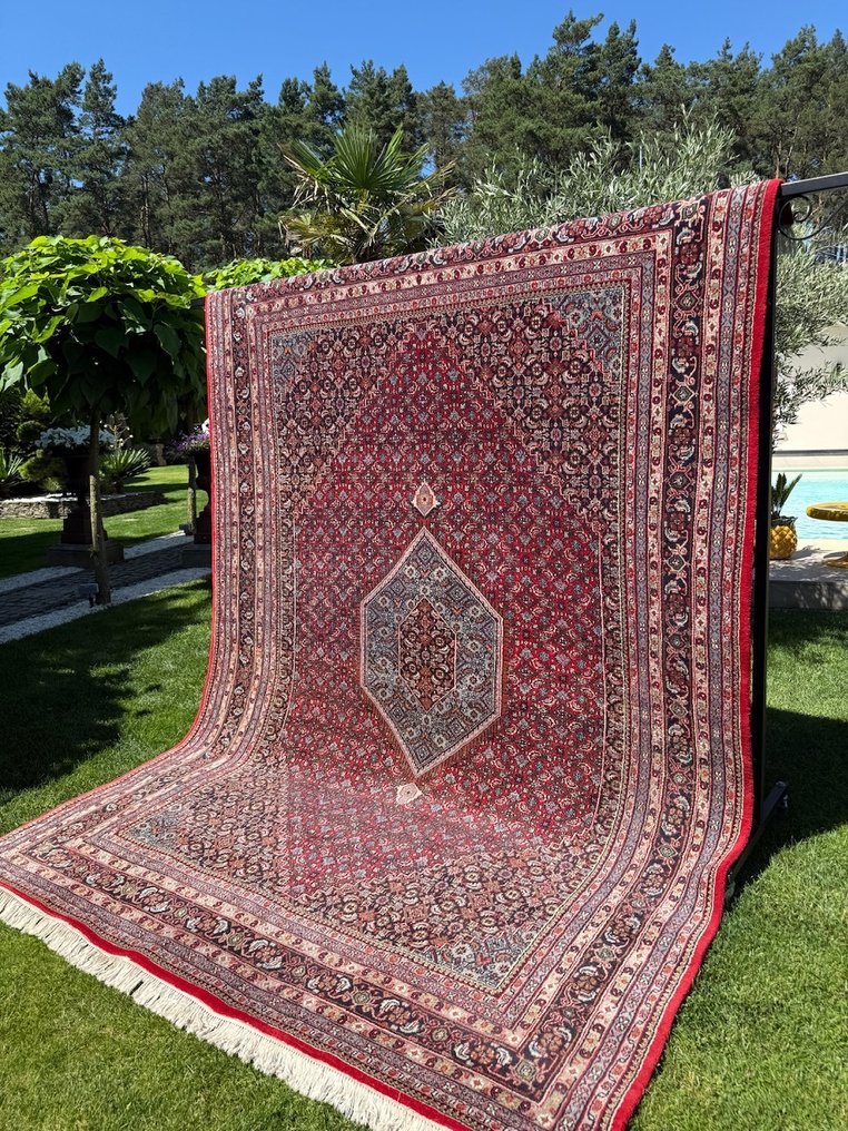 Indo Bidjar - Carpet - 350 cm - 250 cm #3.2