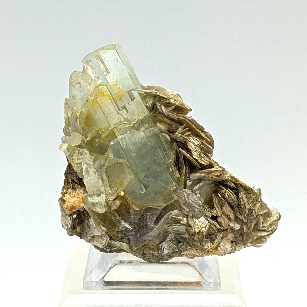 Aquamarine with silver Muscovite, excellent crystals. Crystals on matrix - Height: 56 mm - Width: 38 mm- 51 g #1.0