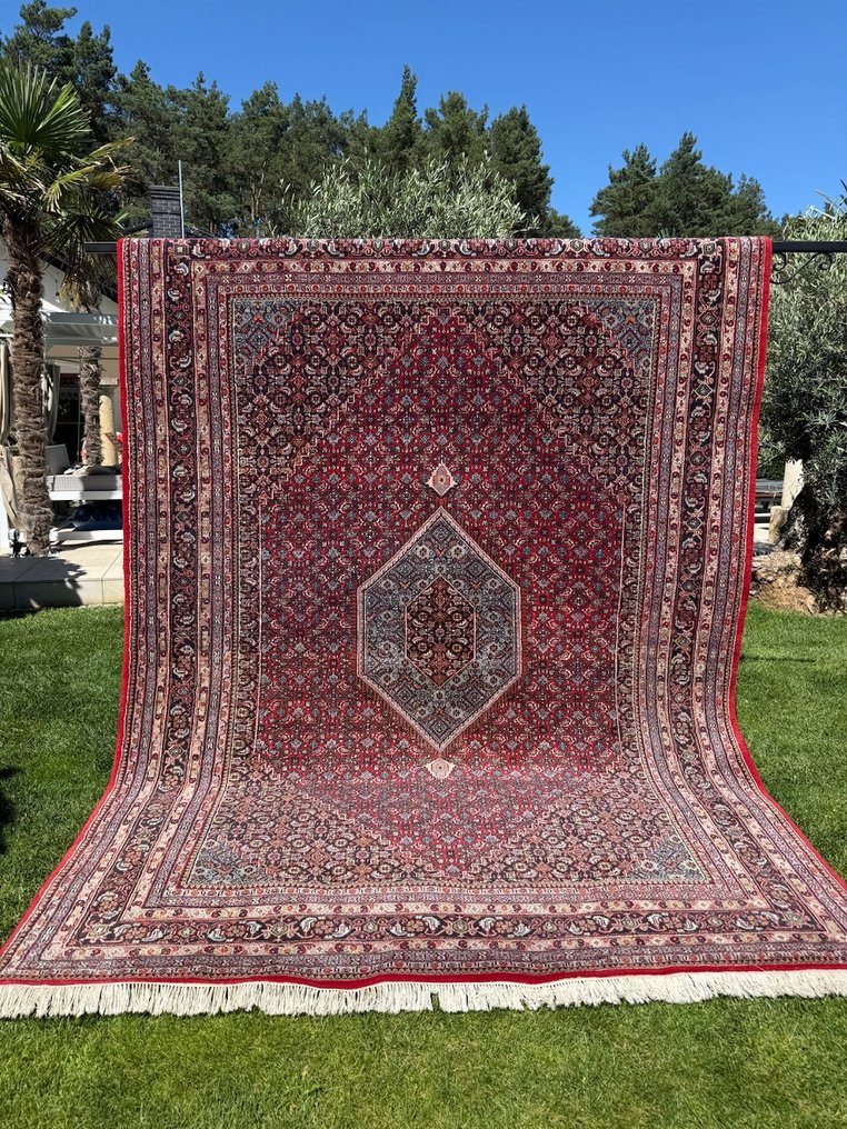 Indo Bidjar - Carpet - 350 cm - 250 cm #4.3