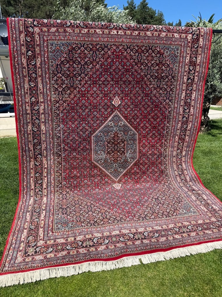 Indo Bidjar - Carpet - 350 cm - 250 cm #1.0