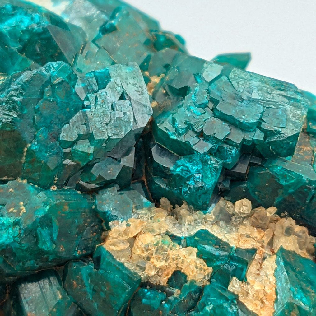 Βαθύ Πράσινο DIOPTASIO έντονο με ΚΑΛΚΙΤΗ και ΧΡΙΣΟΚΟΛΛΑ Κρύσταλλοι στη μήτρα - Ύψος: 55 mm - Πλάτος: 40 mm- 73 g #3.2