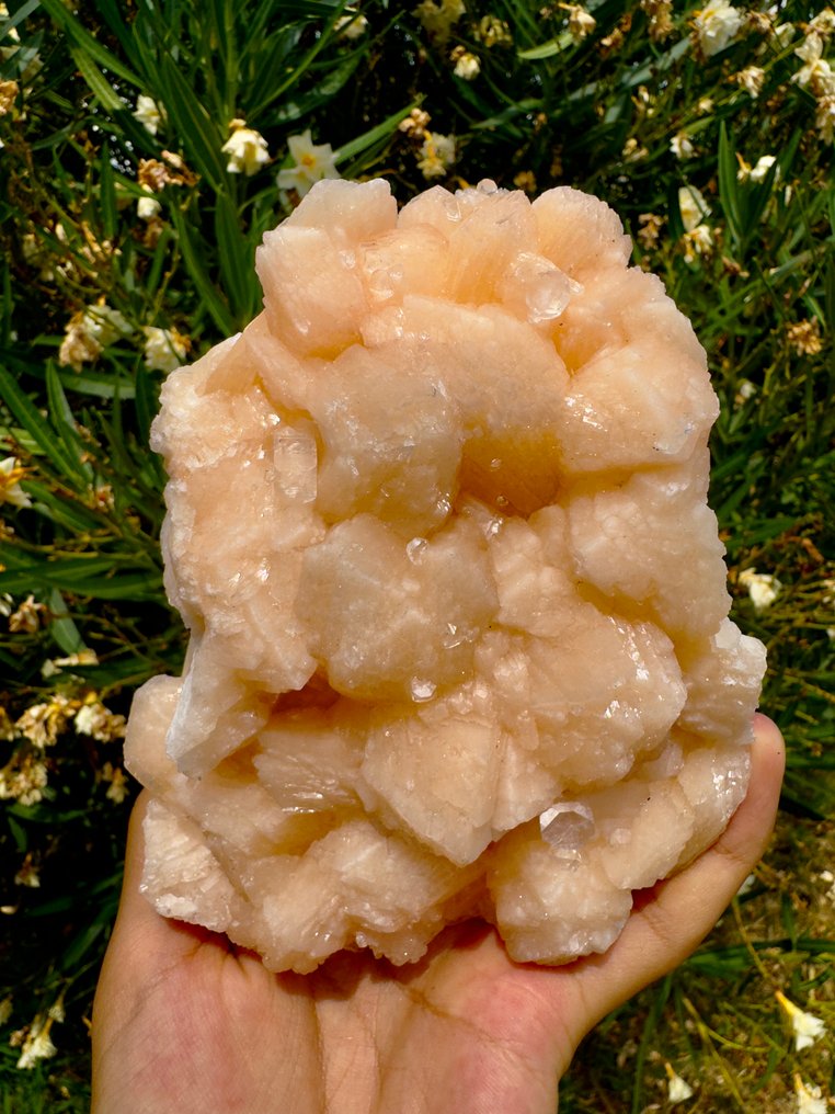 Amazing Orange Stilbite Crystal on matrix - Height: 14 cm - Width: 10 cm- 962 g - (1) #1.0