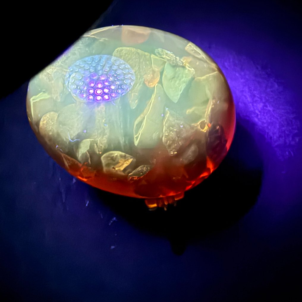 Egg with Bee and Baltic amber stones - Amber - Succinite - 56 mm - 45 mm  (No Reserve Price) #3.2