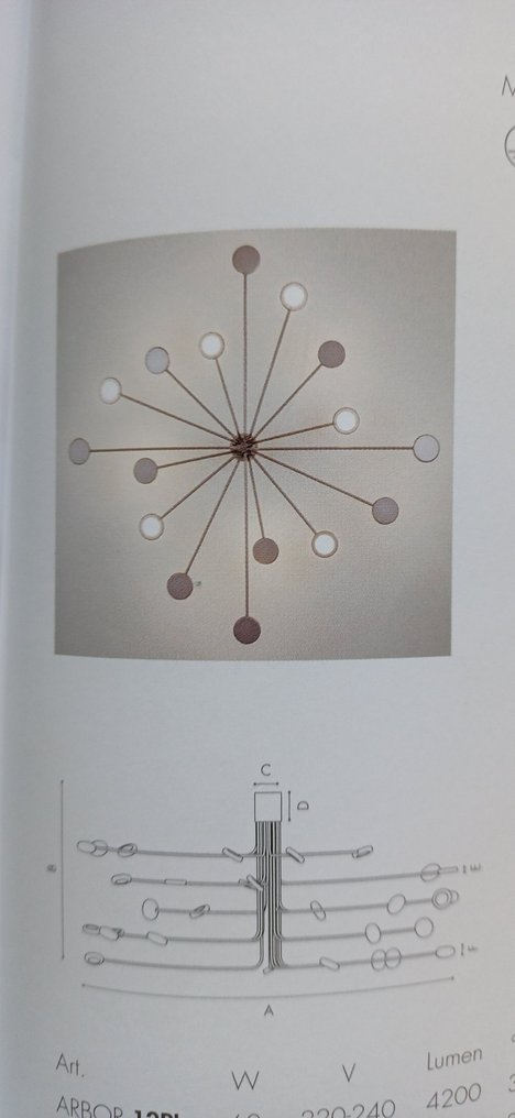 Iconeluce - Marco Pagnoncelli - 吸顶灯 - Arbor 20PL - 铝 #4.3