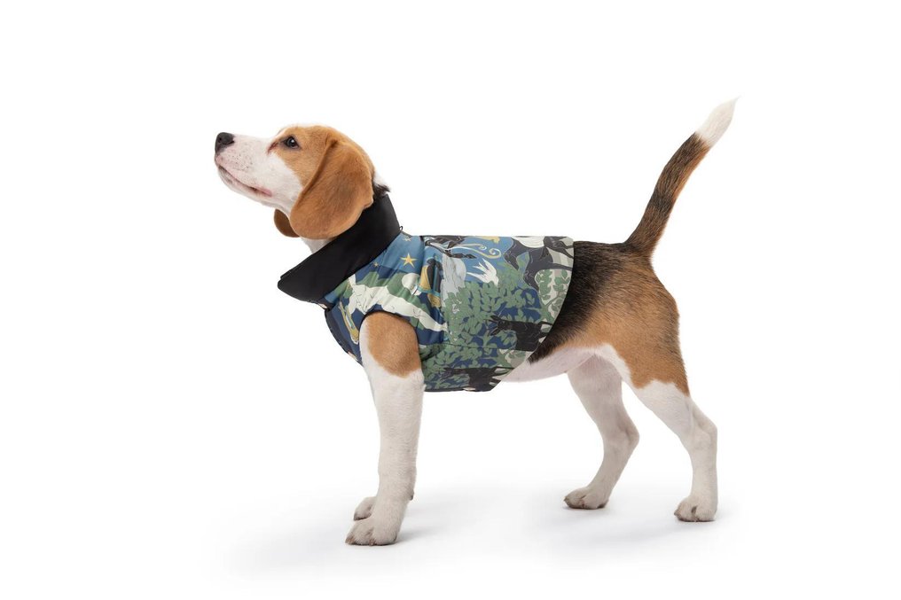 RRP 380€ POLDO X RUBINACCI Reversible Gilet Water-Repellent Nylon Goose Down Filled Size M - Pet accessory #1.0