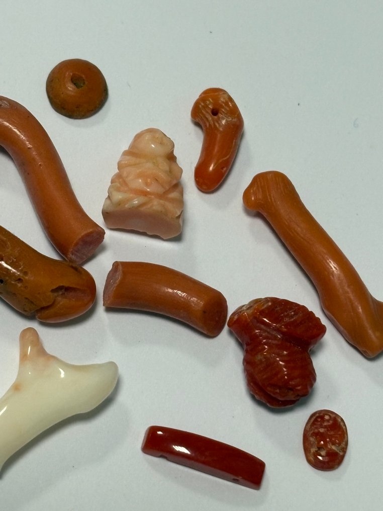 珊瑚 珊瑚 - Coral rubrum  (没有保留价) #2.1