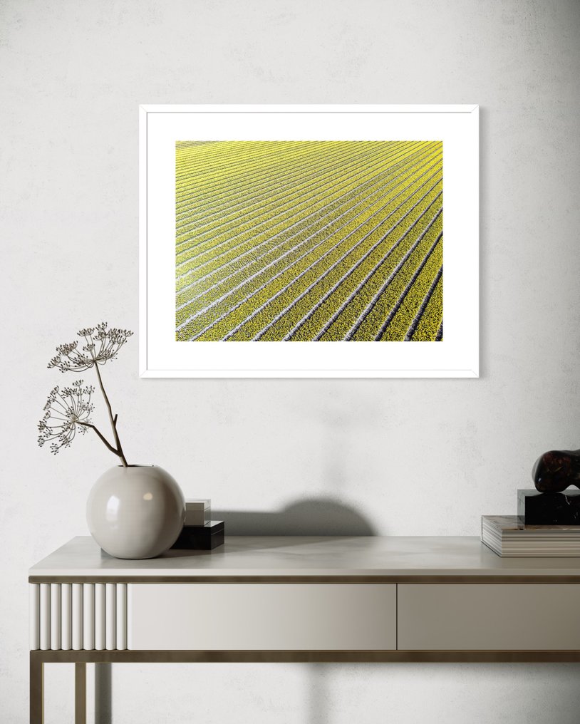 Fabio Accorrà - The yellow #1.0